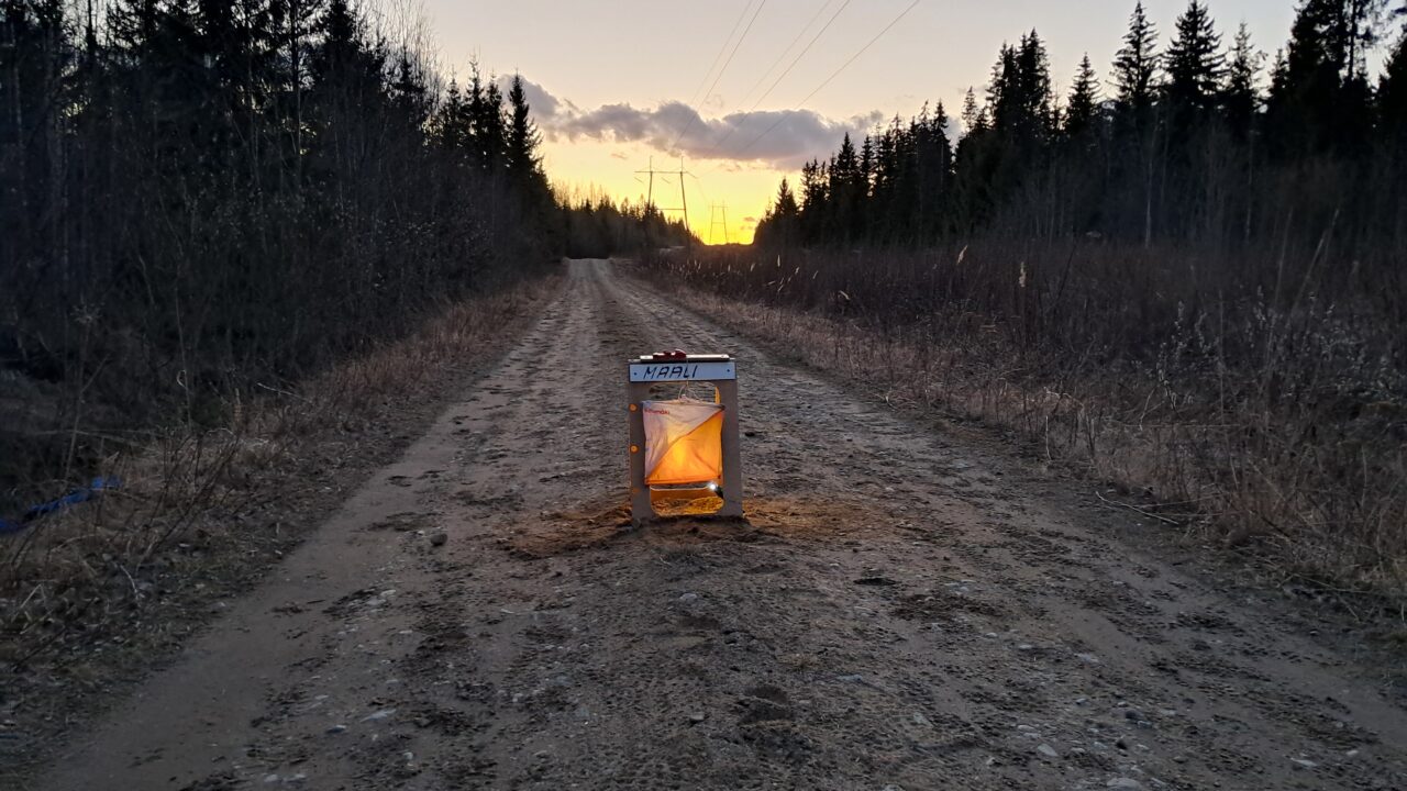 Maali Kurhilan pimenevässä illassa